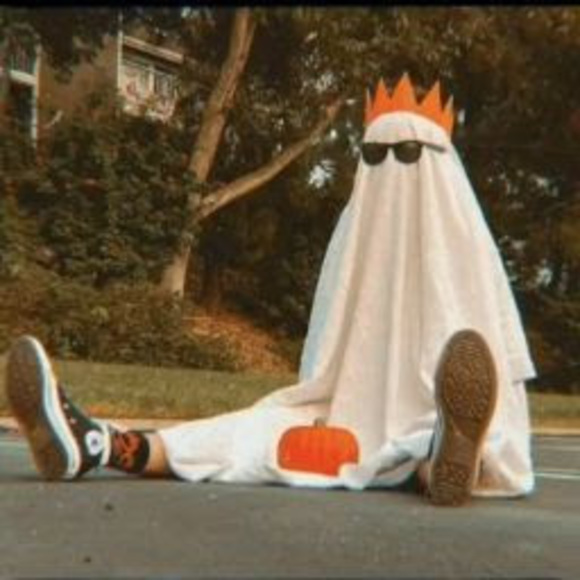 Meet your Posher, Thaylla - Picture 1 of 1